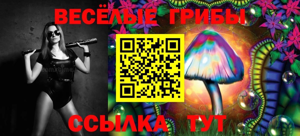 Галлюциногенные грибы Psilocybine cubensis  Вход с VPN  Губаха 